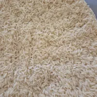 برنج صدری جمشید اصل آستانه