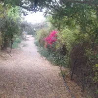 اجاره خونه باغ|اجارهٔ کوتاهمدت ویلا و باغ|برازجان, |دیوار