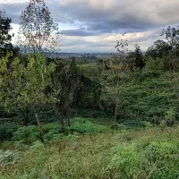 فروش زمین با یک باب خانه با امتیاز کامل|فروش خانه و ویلا|شفت, |دیوار