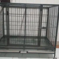 قفس بزرگ نو