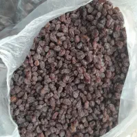 کشمش پلویی تازه وافتاب خشک
