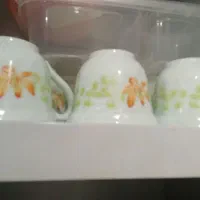 فنجان شش عدد بدون نعلبکی