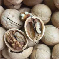گردو چینی درجه ۱|خوردنی و آشامیدنی|اهواز, کوی علوی|دیوار