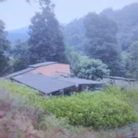 اجاره-کارگاه-ذغال