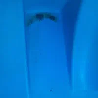 جوش پلاستیک مخزن وسپرماشین درمحل شما در قم وحومه|خدمات پیشه و مهارت|قم, انصارالحسین|دیوار