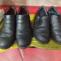 کیف وکفش|کیف، کفش، کمربند|بهارستان, |دیوار