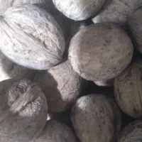 گردواعلا تازه امسال