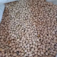 حدود 80 کیلو نخود سفید  شده و 30کیلو نخود منصوری