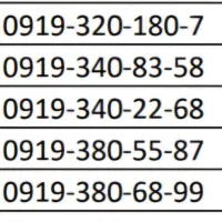 0919.305.3811|سیمکارت|اسلامشهر, زرافشان|دیوار