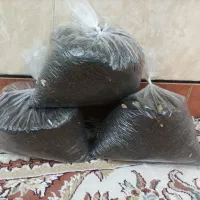 چای الحجی المعطر العراقی|خوردنی و آشامیدنی|اهواز, باغ شیخ|دیوار