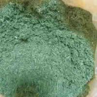 .شوید|خوردنی و آشامیدنی|تهران, یافت‌آباد|دیوار