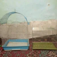 قفس