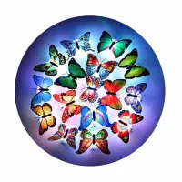 چراغ خواب LEDپروانه ای|چراغ خواب و آباژور|شیراز, بریجستون|دیوار