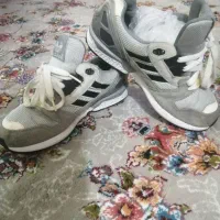zx8000فیلی