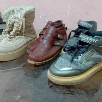 نیم بوته‌ای دخترانه حراج جفتی ۳۵۰