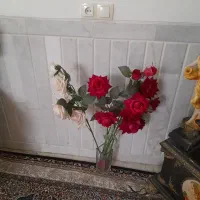 تخت خواب .دراور.گل.میز|میز و صندلی غذاخوری|میبد, |دیوار