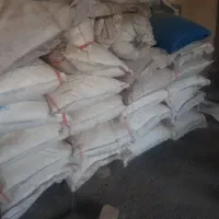 کود شیمیایی وگندم دورم