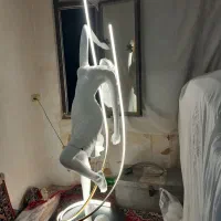 مجسعمه