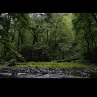 آماده همکاری (لیدر حرفه‌ای طبیعت گردی)