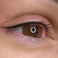 فیبروز میکروهاشورابروشیدینگ لب تاتو اسکالپ اموزش|خدمات آرایشگری و زیبایی|تهران, تهرانپارس جنوبی|دیوار