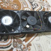 فن ماینر کاملا نونو