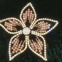 ترمه دوزی ومنجق دوزی|لباس|لردگان, |دیوار