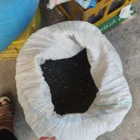 ماش سیاه