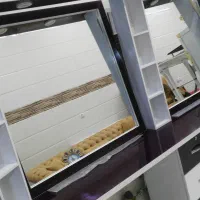 دکوراسیون آرایشگاه|آرایشگاه و سالن‌های زیبایی|سنندج, |دیوار