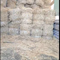 کاه پرس
