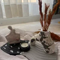 ست دکوری