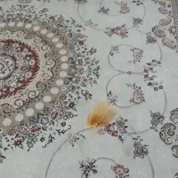 فرش|فرش|پاکدشت, پاکدشت (مامازند)|دیوار