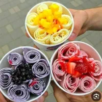 بستنی ساز رولی دو پنله وارداتی آکبند