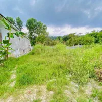 فروش-زمین-اماده-ساخت-سندتکبرگ-ویوجنگل