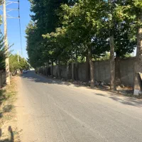 سهیلیه-بهاران-بر-بهترین-خیابان-زمینی-بینظیر-فوری