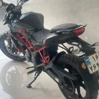 بنلی۲۵۰tntتک سیلندرنیوفیس