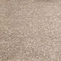 پالاز موکت رنگ نسکافه ای فروش فوری