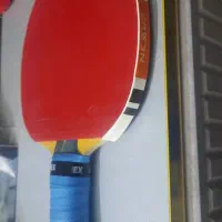 راکت پینگ پنگ حرفه ای|ورزشهای توپی|الوند, |دیوار