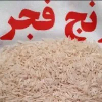 برنج فجر