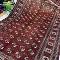 ماری گل اناری
