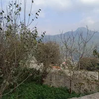 فروش زمین مسکونی|فروش زمین و ملک کلنگی|پل سفید, |دیوار