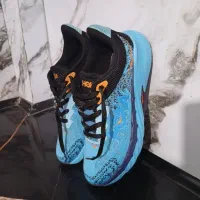 کفش هوکا(آک)