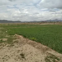 زمین-کشاورزی-5-هکتار-اجاره-ای