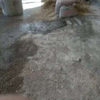 شاگرد نما کار هستم