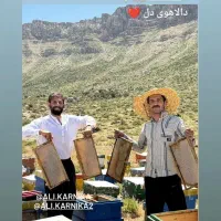 ملکه جفت طبیعی وقرنطینه. کارنیکا المان f1