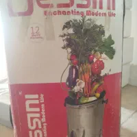 سبزی خردکن دسینی ۴ کیلویی