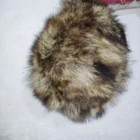 کلاه طبیعی|لباس|بوشهر, |دیوار