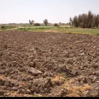زمین-مناسب-دامداری-خانه-باغ-گلخانه