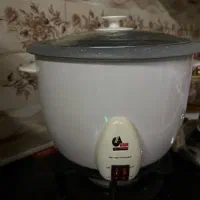 پلوپز و آرامپز برقی آگرین