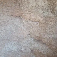 سلام  کاه گندم درسرپل ذهاب توی انبار شفته  کیلو ی|حیوانات مزرعه|قلعه شاهین, |دیوار
