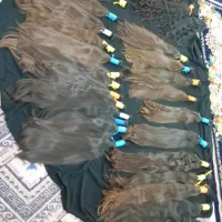 فروش موهای طبیعی بدون واسطه